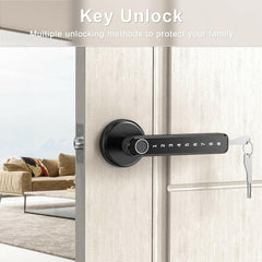 Fingerprint Door Lock Door Knob with Keypad Keyless Entry Door Lock with Handle for Home Hotel Office Apartment Bedroom Black(F190)